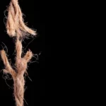 L’Éducation permanente ne veut plus fonctionner avec des bouts de ficelle!