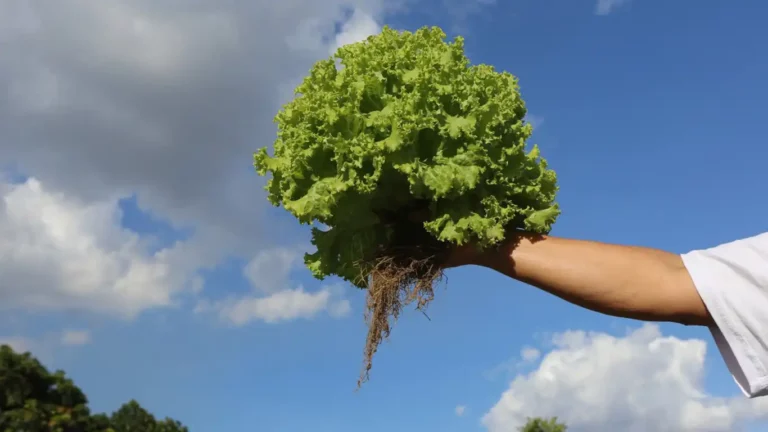 Santé publique et planétaire: le temps des solutions